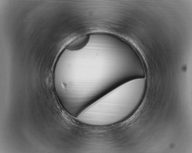 X0000101151145200806270754