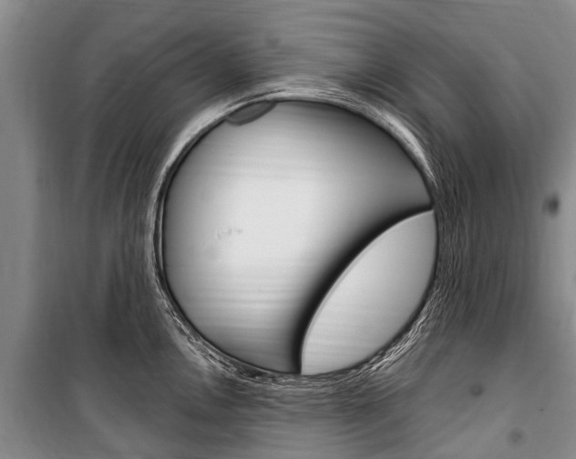 X0000101151146200806270754