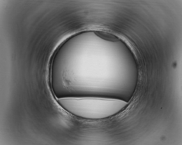 X0000101151147200806270754
