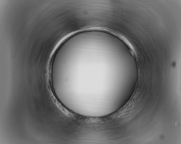 X0000101151148200806270754
