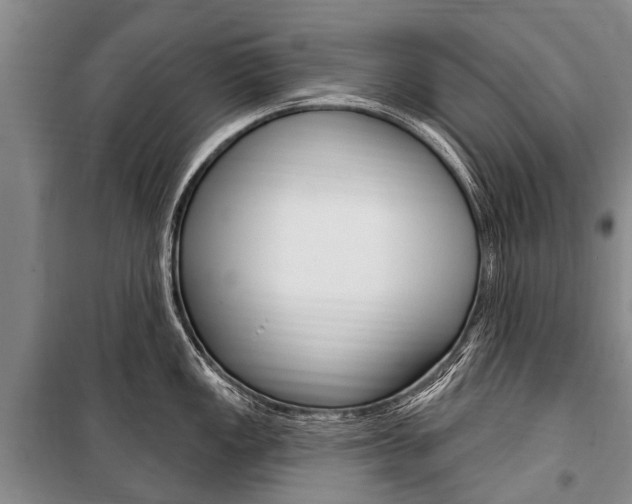 X0000101151149200806270754