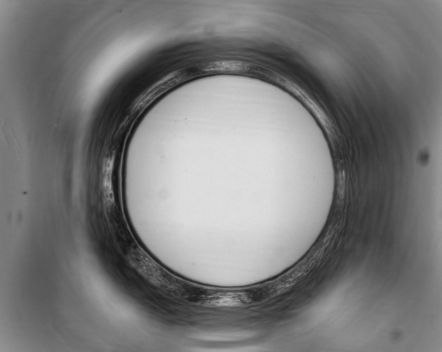 X0000101151150200806270754