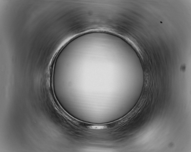 X0000101151151200806270754