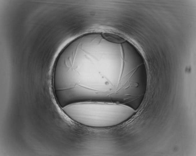X0000101151152200806270754
