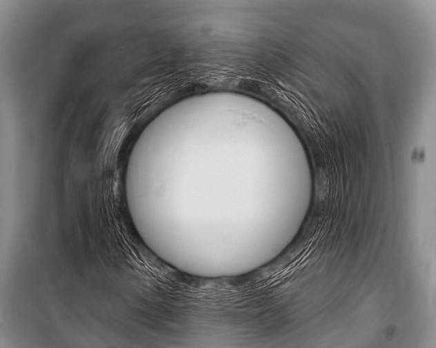 X0000101151154200806270753