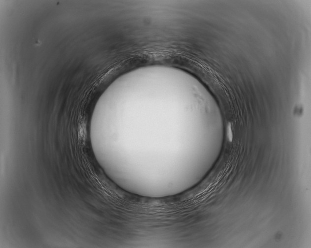 X0000101151155200806270753