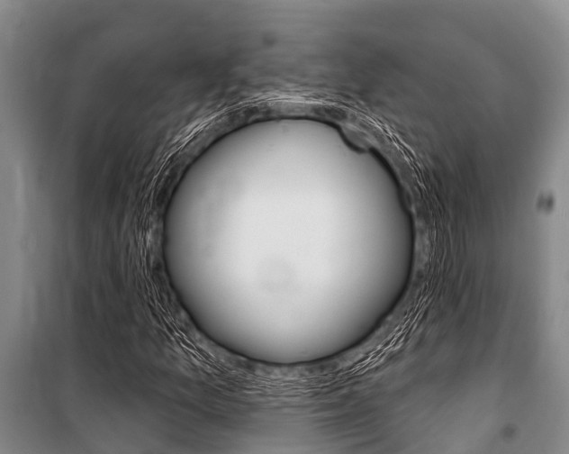 X0000101151157200806270753
