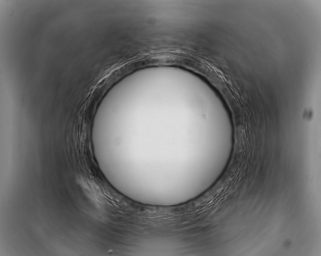 X0000101151158200806270753