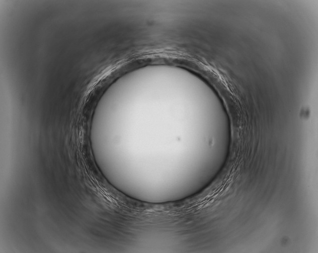 X0000101151159200806270753
