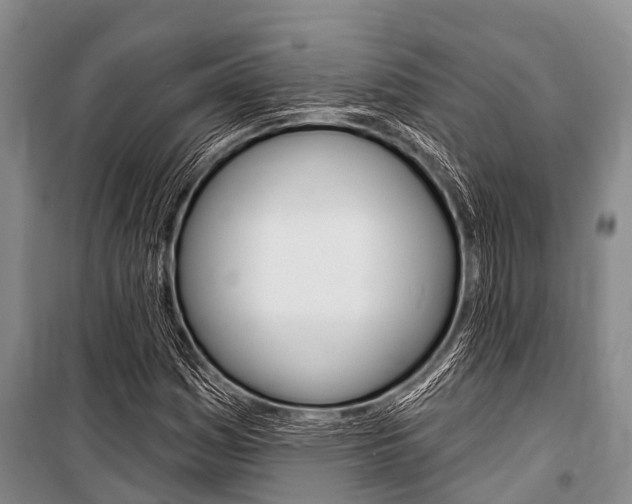 X0000101151161200806270753