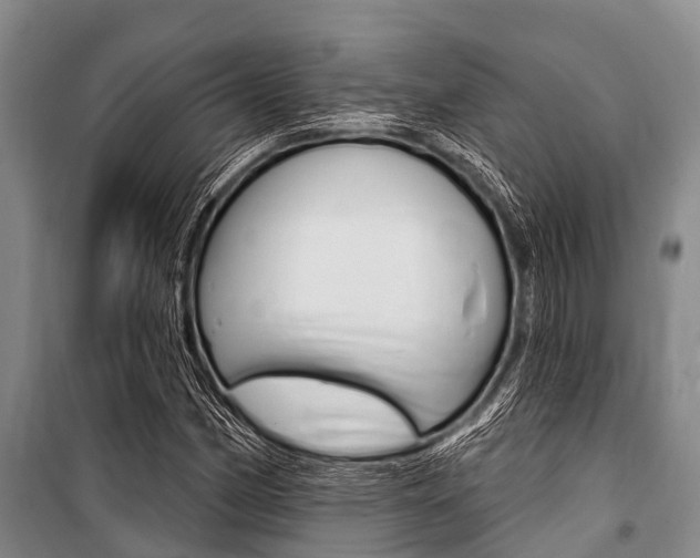 X0000101151162200806270753