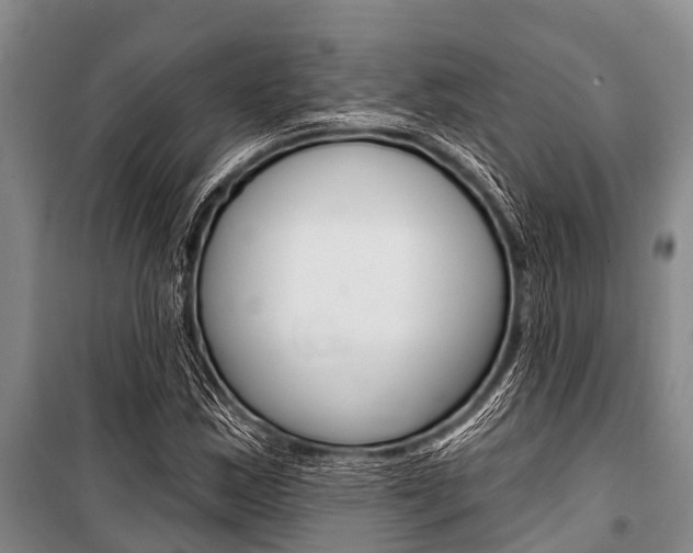 X0000101151163200806270753