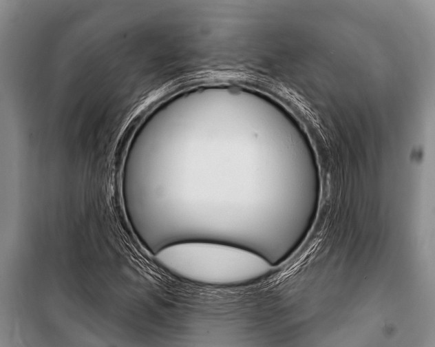 X0000101151165200806270753