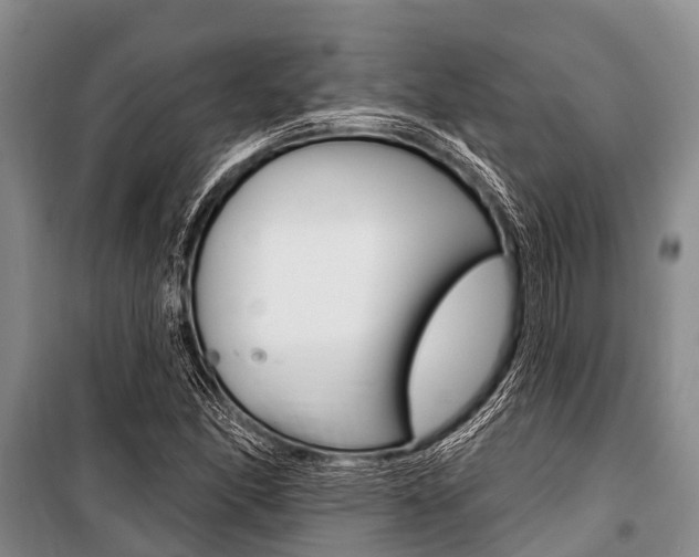 X0000101151166200806270753
