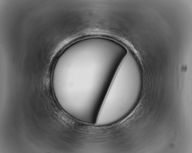 X0000101151167200806270753