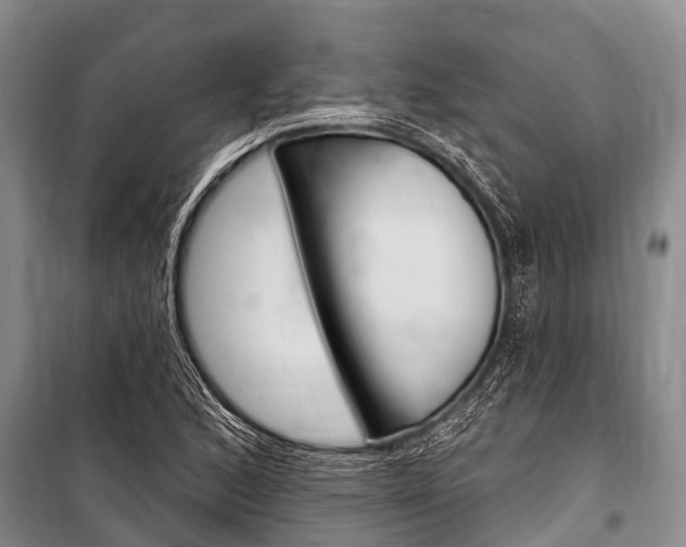 X0000101151168200806270753