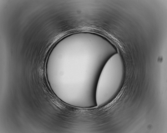 X0000101151170200806270753