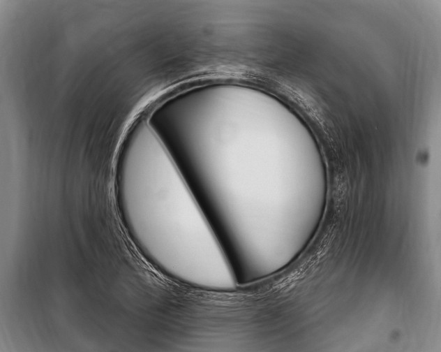 X0000101151172200806270753