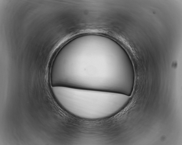 X0000101151173200806270753