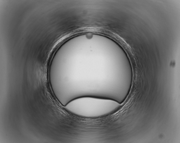 X0000101151174200806270753