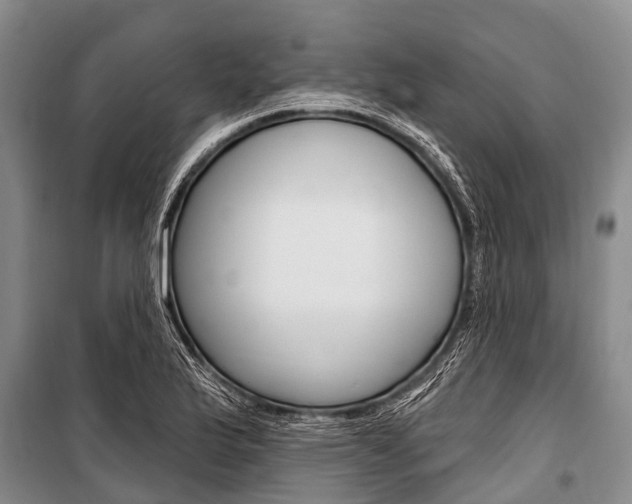 X0000101151175200806270752