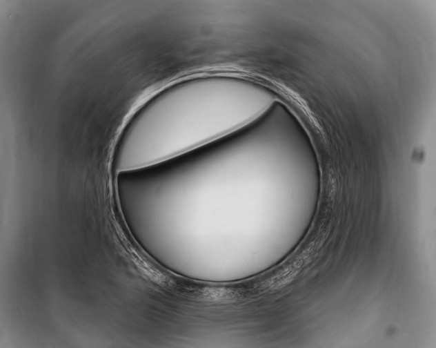 X0000101151176200806270752