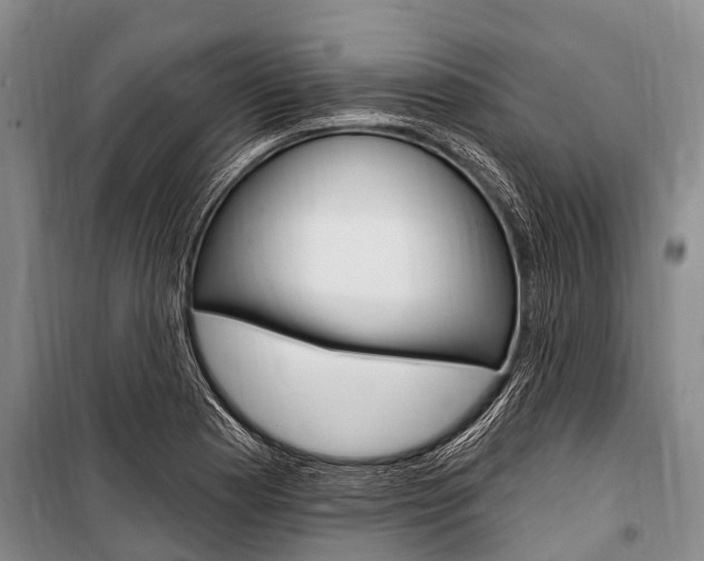 X0000101151177200806270752