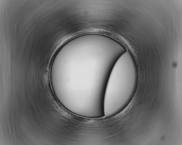 X0000101151178200806270752