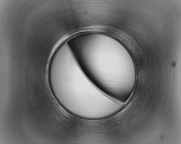X0000101151180200806270752