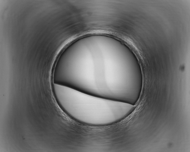X0000101151181200806270752