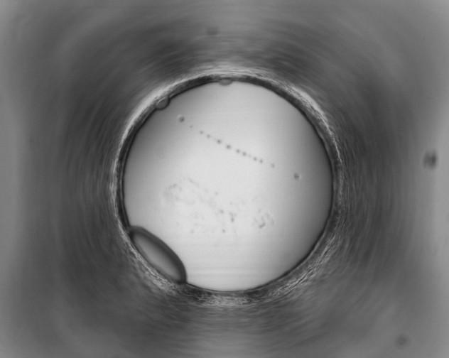 X0000101151183200806270752