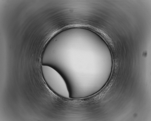 X0000101151185200806270752