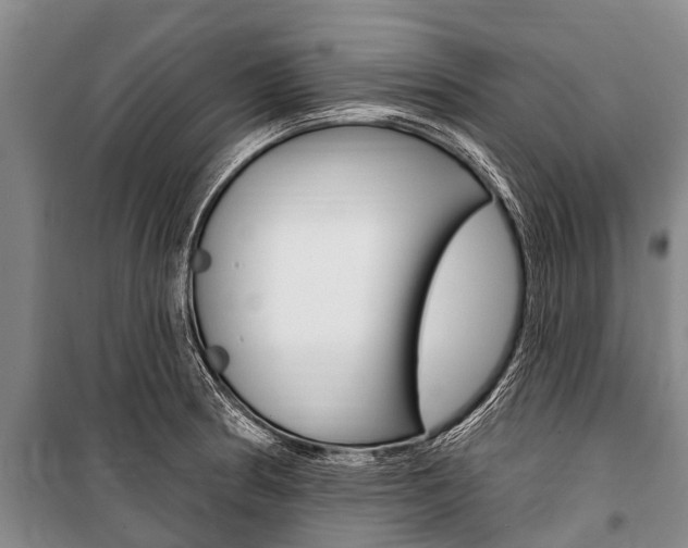 X0000101151186200806270752