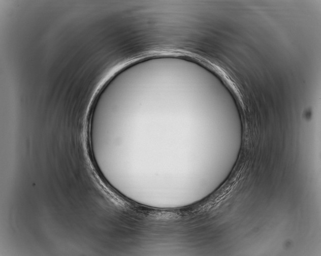 X0000101151187200806270752