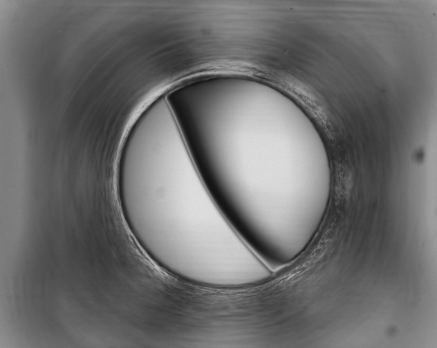 X0000101151188200806270752
