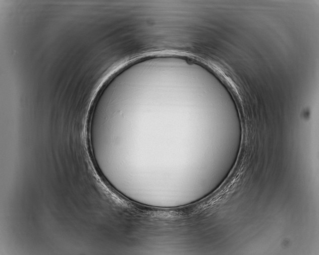 X0000101151189200806270752