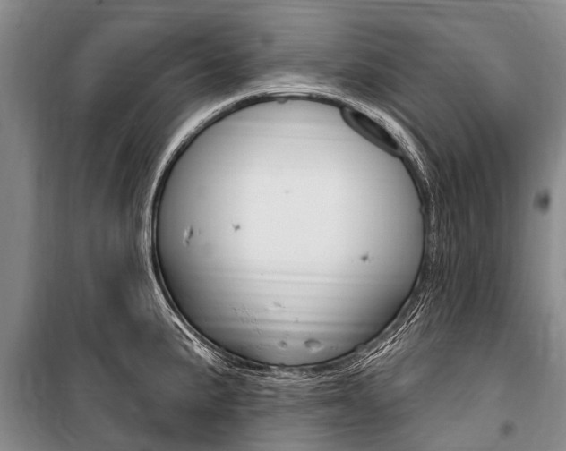 X0000101151191200806270752