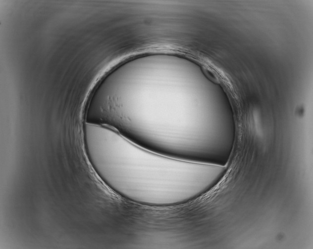 X0000101151192200806270752