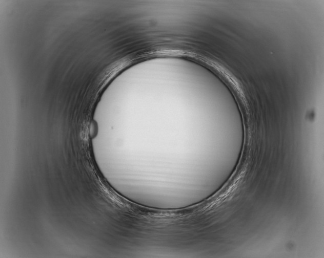 X0000101151193200806270752