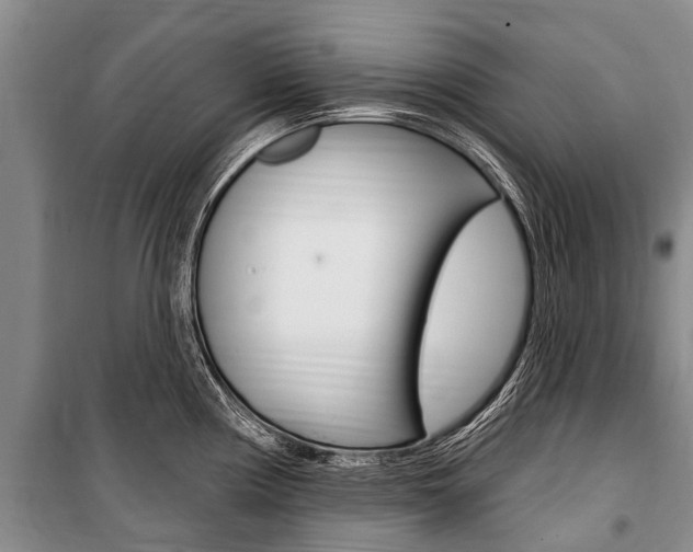X0000101151194200806270752