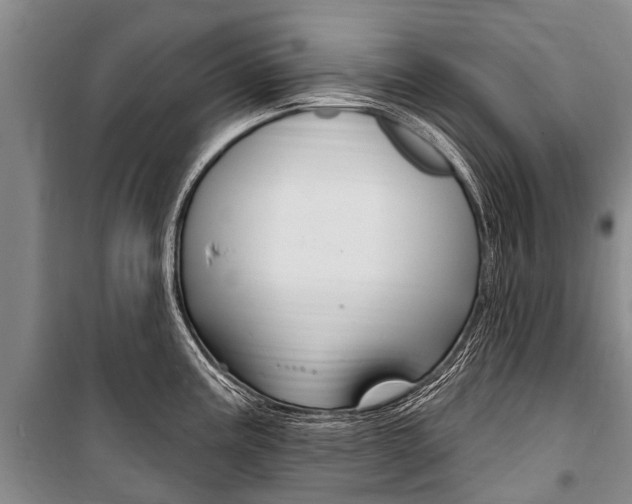 X0000101151195200806270752