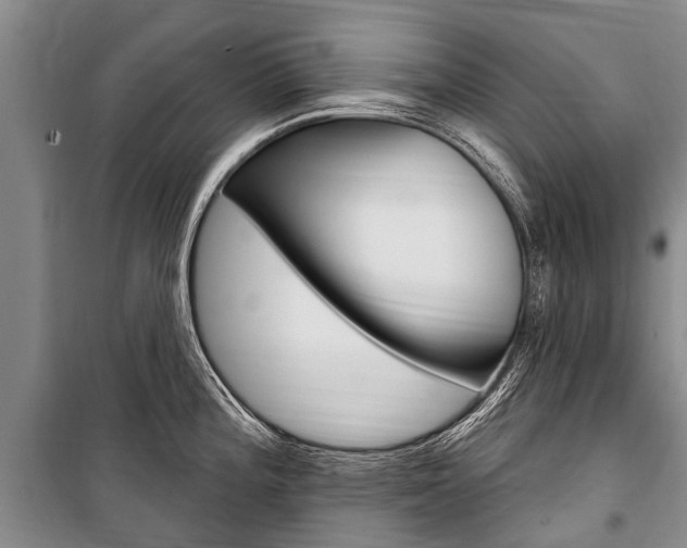 X0000101151196200806270752