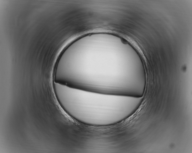 X0000101151197200806270752