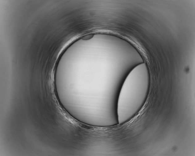 X0000101151198200806270752