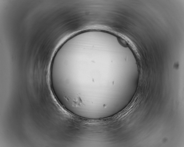X0000101151199200806270752