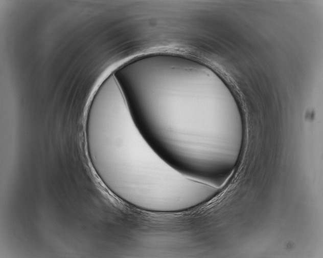 X0000101151200200806270752