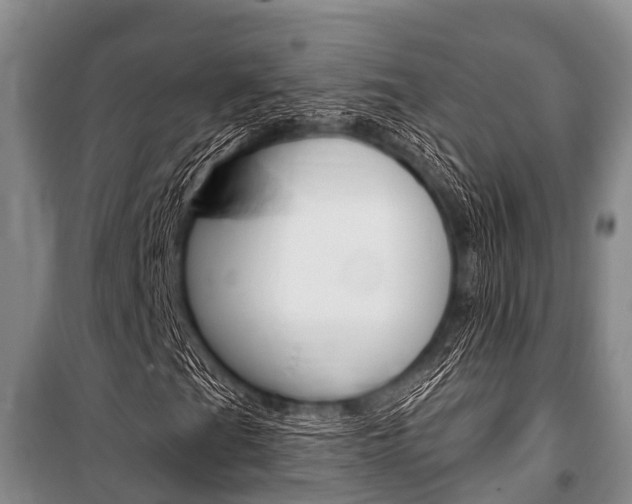 X0000101151201200806270751