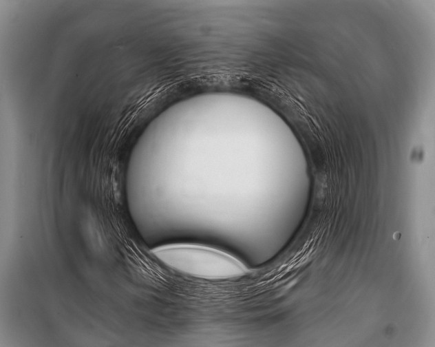 X0000101151202200806270751