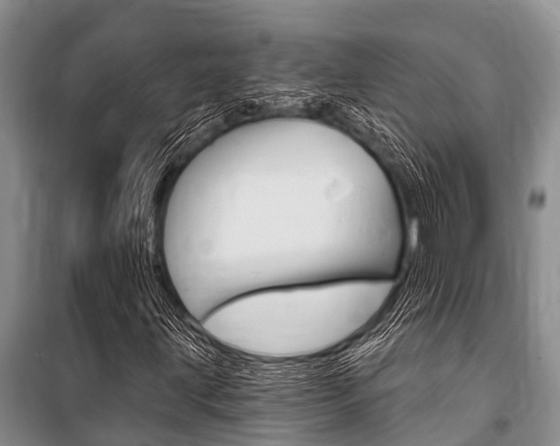 X0000101151203200806270751