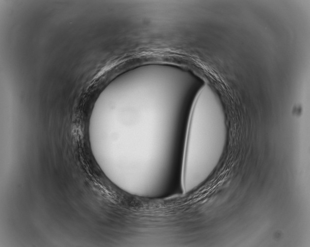 X0000101151206200806270752